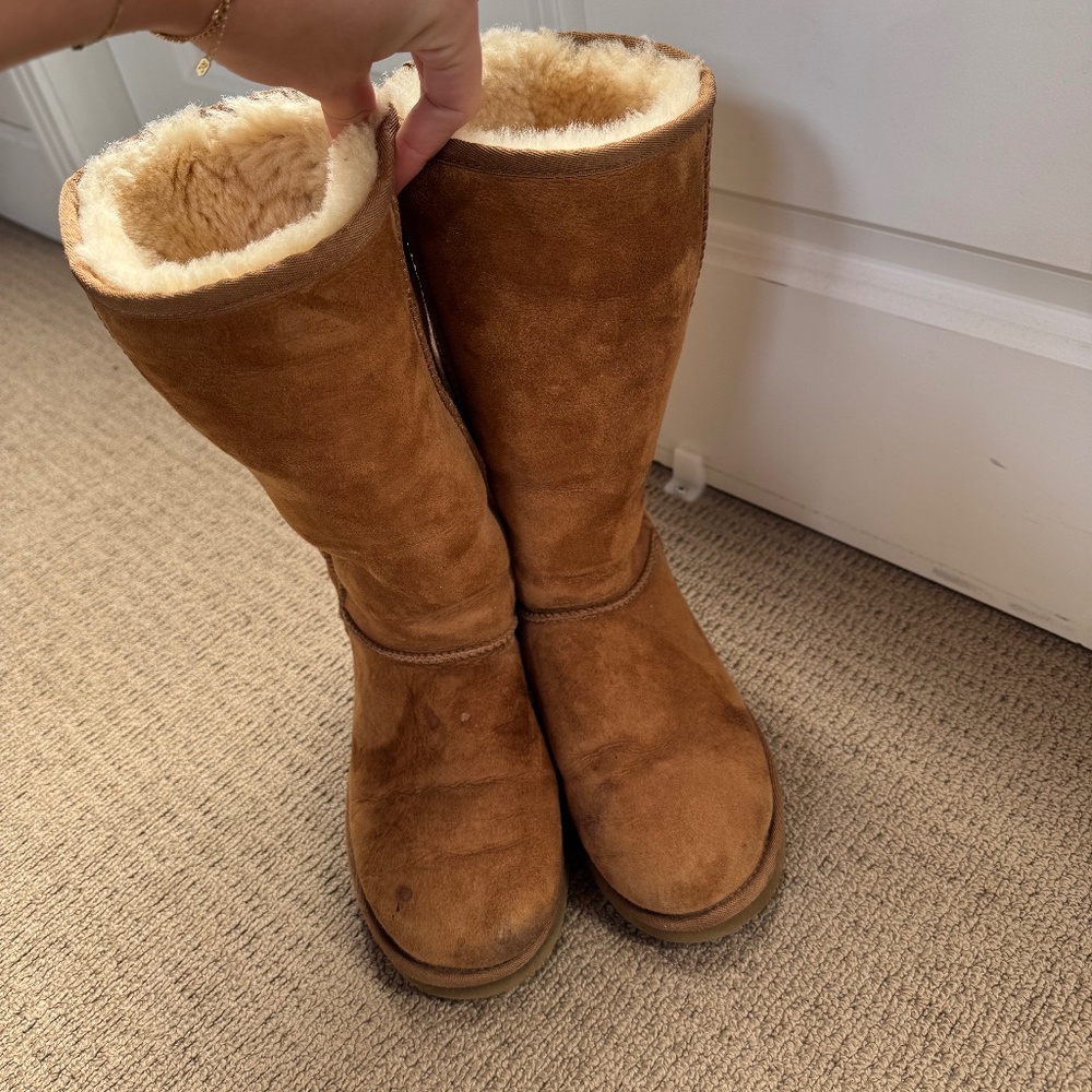 Tall women’s chestnut Uggs